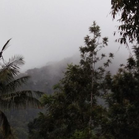Bandekallu Homestay Chikmagalūr エクステリア 写真