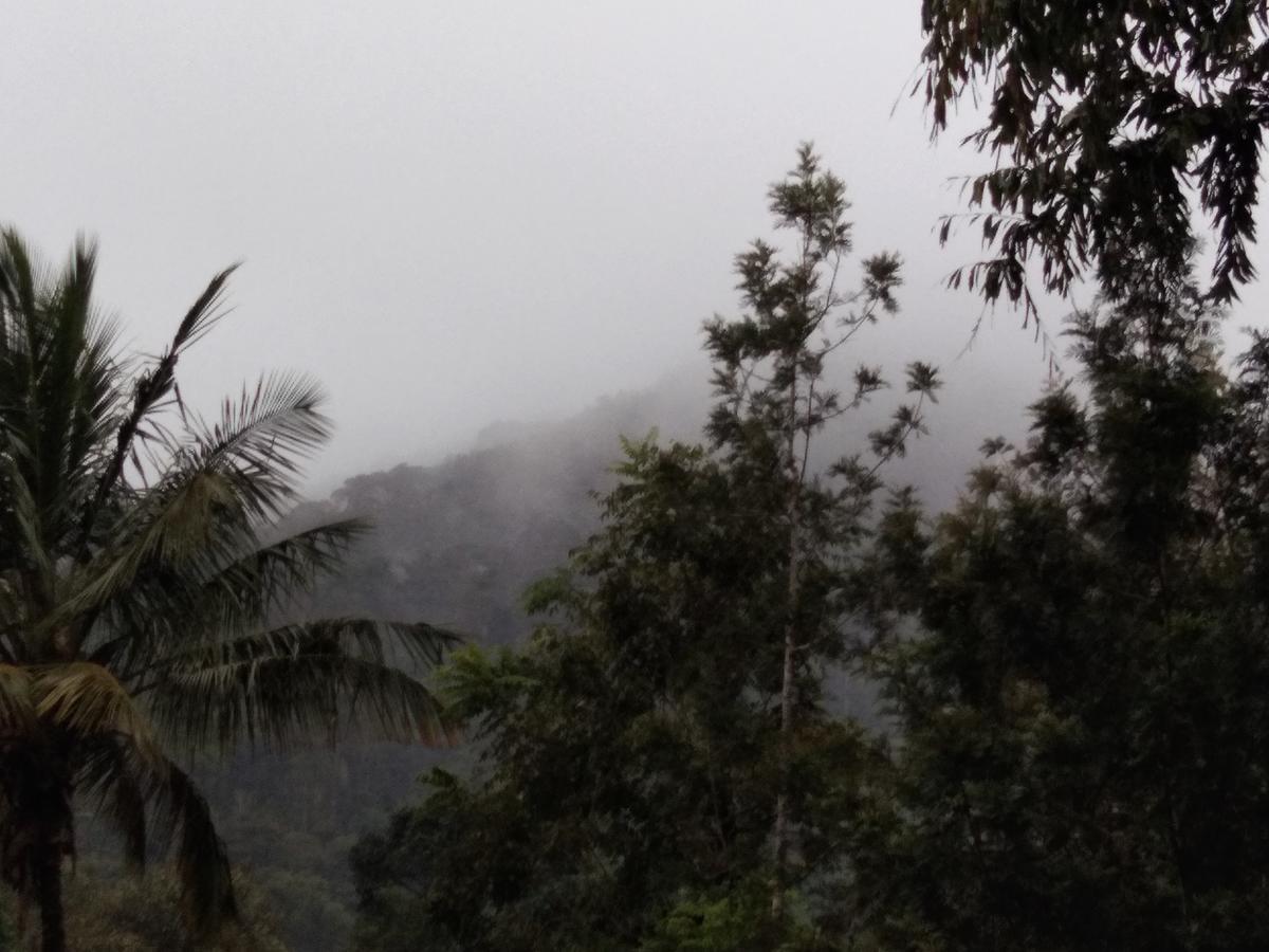 Bandekallu Homestay Chikmagalūr エクステリア 写真